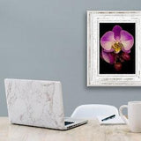 Orchid #5 -Hand Matted Photographic Print -Fast & Free US Shipping!