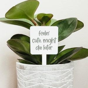 Feelin' Cute Might Die Later Plant Marker, Funny Plant Sign, Plant Markers, Garden Markers, Garden Stake, Acrylic Garden Markers, Gardening