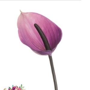 23" Faux Purple Anthurium Spray, Artificial Tropical Flowers, Real Touch Latex Plant, Hawaiian Arrangement, Fake Plastic, Wreath Supplies