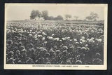 VAN WERT OHIO WASSENBERG PEONY FLOWERS FARMS FARMING VINTAGE POSTCARD