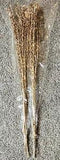 Dried Digit Branch Bunch 26-30??? Natural Brown New