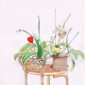 Orchid painting-Original watercolor -Plants drawing-Flowers painting-Interior painting-Interior drawing