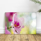 Fine Art Photograph of Pink Orchid Flowers in Multiple Print Options: Canvas, Paper, and Metal, Orchid lovers gift idea
