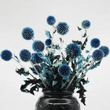 20 Balls Dried Blue Thistle Flowers Bouquet 15" Preserved Echinops Globe Flower