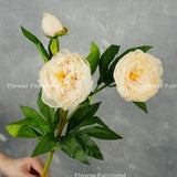 3 Heads Faux Peony Stem | Artificial Flower | Wedding/Home Decoration | Gifts - Apricot