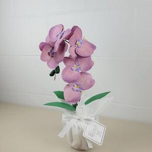 Paper Orchids with Pot