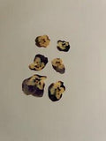 Pressed Dried Flowers All Natural Not Dyed Or Coloured Viola Flowers Purple L1