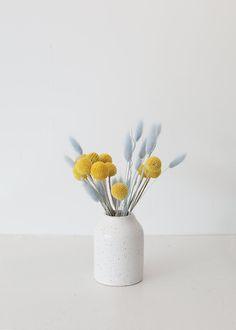 Light Blue Bunny Tail Dried Grass Flower Delivery