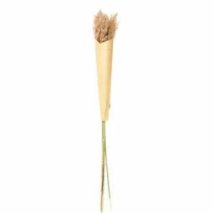 ASA Selection Pampas grass dried flower grasses decoration 75 cm Brown