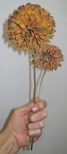 2 Natural Dried Zinnia Flowers, Golden Orange, from my Indiana Homestead Garden