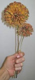 2 Natural Dried Zinnia Flowers, Golden Orange, from my Indiana Homestead Garden