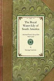 Royal Water-Lily of South America  And the Water-Lilies of Our Ow