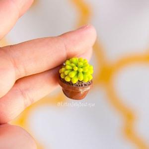 Succulent Charm in Pot, Handmade, Polymer Clay, Miniature Plant, Keychain, Gift , Kawaii Charm, Planter, Nature, Earring Garden, KittenJelly