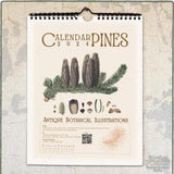 2024 Botanical Calendar - Antique Pine Illustrations / Plants Monthly Wall Calendar w/ week Numbers