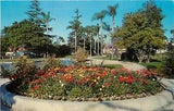 Chrome Postcard CA M406 Anaheim Bed of Ranunculus Flowers Anaheim City Park