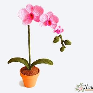 Crochet Pattern Orchid ? Renirumi