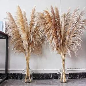 46" inch 10 Stems Pampas Grass Decor Tall, Dried Plants, Natural Dried Flowers