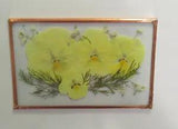 PRESERVED/PRESSED FLOWER ART IN FLOATING FRAME -- MADE IN CANADA
