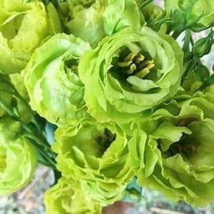 Lisianthus Rosanne Bright Green. Rare. Excellent cut flowers. Great addition to the Wedding bouquets . 20 seeds