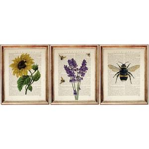 Set of 3 Prints, Botanical Wall Art Set, Bee Nursery Wall Art, Dictionary Art Print, Lavender Sunflower Art, Bumble Bee Art