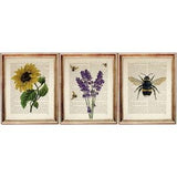 Set of 3 Prints, Botanical Wall Art Set, Bee Nursery Wall Art, Dictionary Art Print, Lavender Sunflower Art, Bumble Bee Art