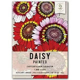 , Painted Daisy Flower Seeds for Planting Single Pack (1,000 Seeds)
