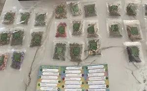 Dried Flowers Lot Of 25 Various Leaves Petals Seeds