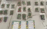 Dried Flowers Lot Of 25 Various Leaves Petals Seeds