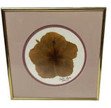 Pressed Hibiscus ???Flowers Of Aloha??? By Carla Rose Taibi Framed Mat 12x12??? Signed
