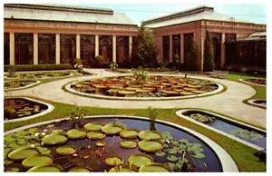 Water Lily Pools Flowers Postcard Posted 1976