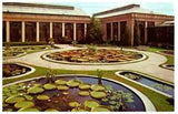 Water Lily Pools Flowers Postcard Posted 1976
