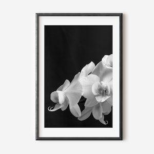 White Orchid Photo, Black and White Photography, Flower Photography, Modern Minimalist Poster, Floral Artwork, Dark Wall Art, Printable