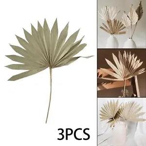 3 Pieces Dried Palm Leaves Decoration for Home Arrangement Anniversary Vase