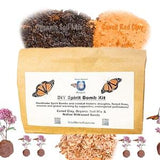 XL DIY Seed Bomb Kit for Monarch Butterflies & Endangered Pollinators | Spirit Bombs