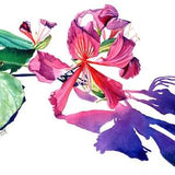 Hong Kong Orchid Tree Flower, Watercolor art print,  Bauhinia blakeana, Hawaiian flower, Hawaii Decor, Kauai Art, Tropical Wall Art