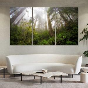 Morning Sunlight at Forest Popular Decor for Wall, Green Forest Home Design Art, Green Plants Artwork For Wall, Jungle Large Framed Decor