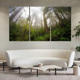 Morning Sunlight at Forest Popular Decor for Wall, Green Forest Home Design Art, Green Plants Artwork For Wall, Jungle Large Framed Decor