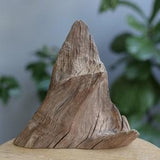 Decorative stump for home decor. Natural driftwood for aquarium or terrarium. Rough raw tree branch centerpiece, air plant planter