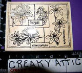 FLORAL MONTAGE DAISY LILIES FRAMES RUBBER STAMPS STAMPABILITES FLOWERS