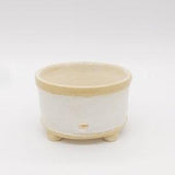 Small White Stoneware Orchid Pot, glossy white with tan accents, wheel-thrown and signed
