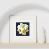 Dark Academia Prints Botanical Orchid