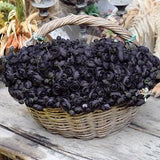 Black red One Bundle Artificial Silk Mini Ranunculus Artificial 6 Stems Silk Ranunculus Buds for wedding home decor