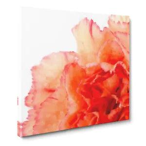 Orange Carnation Flower Canvas Print Wall Art Framed Picture Home Decor Large