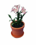 Miniature Dollhouse Magic Pink Lilies Flower Plant 1:12 Scale New