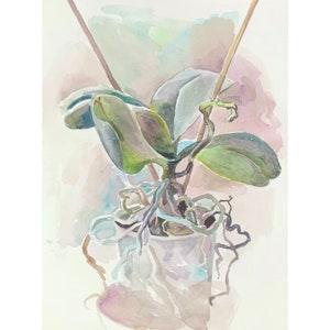 Orchids Plant Painting Flower Wall Art Small Watercolor Original Art Plant Wall Decor 12 by 8 by MAVKOART