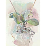 Orchids Plant Painting Flower Wall Art Small Watercolor Original Art Plant Wall Decor 12 by 8 by MAVKOART