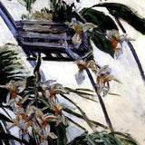 Orchids Plant Garden Flower 1893 Impressionist Painting By Caillebotte Repro