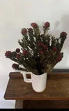 Dried Flower Decor - New