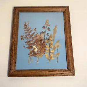 Pressed Flower Framed Art Picture Wood Frame Pressed Flowers and Ferns