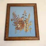 Pressed Flower Framed Art Picture Wood Frame Pressed Flowers and Ferns